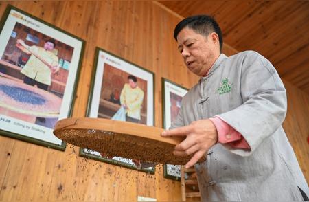 新华全媒+：福州传统茉莉花茶的窨制工艺揭秘
