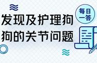 「每日一问」如何察觉并照顾狗狗的关节问题？