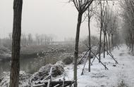 2019年首场雪，钓鱼中毒深