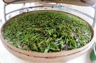 炒青绿茶：揭秘二十四种独特品种，每一种都是极品好茶
