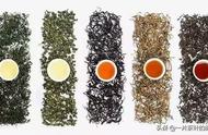 六大茶类全解析：绿茶、白茶、黄茶、青茶、红茶、黑茶