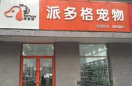 开家宠物店需要多少钱？全面解析投资预算