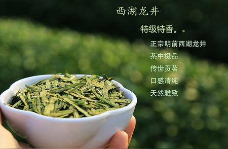 茶叶制作全解析：从神农尝茶到千年古树的历程