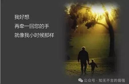 钓鱼活动何以突然陨落？揭秘背后的原因