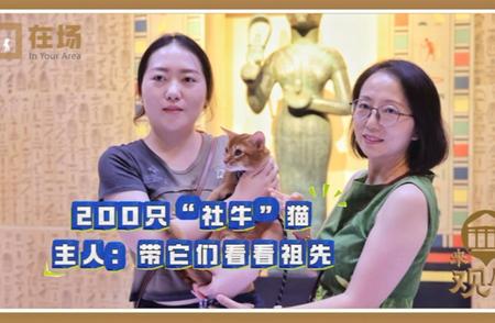 200只“社牛”猫齐聚博物馆，探索祖先足迹