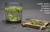 朴教授的茶文化之旅：西湖龙井与御茶树的故事