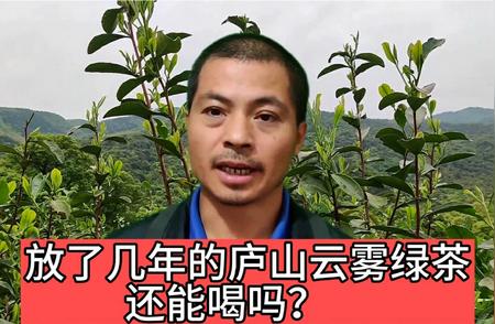 揭秘陈年老茶：放了几年的庐山云雾茶依旧品质非凡！