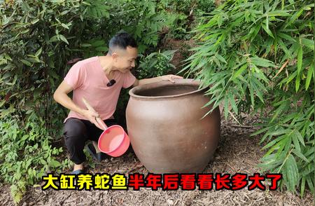 山间奇遇：捕捉蛇鱼的难忘经历