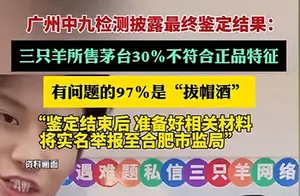 揭秘直播间：三只羊间的兔茅真假的背后故事