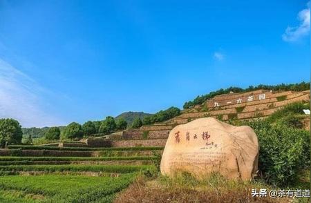 中国最迷人的30个茶园：舒城九一六茶园的风采