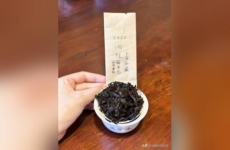 武夷岩茶品鉴指南：茶艺师揭示7个独特技巧