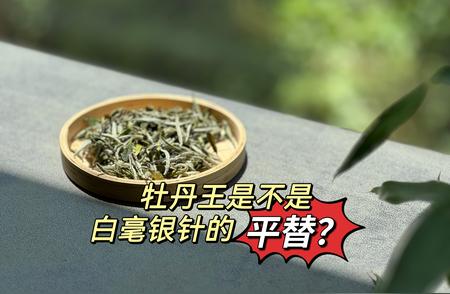 揭秘白茶圈内热议：牡丹王能否成为白毫银针的替代品？