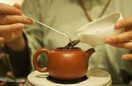 秋白露茶的独特魅力与品饮之道