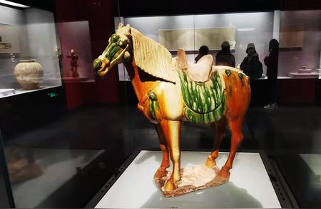 探寻洛阳博物馆：唐三彩骆驼与三彩马的历史传奇
