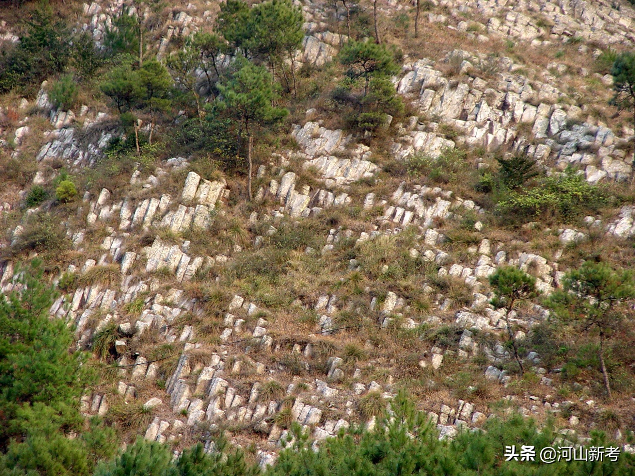 浙江临海，海边的珊瑚石真实探索税晓洁摄于2003年