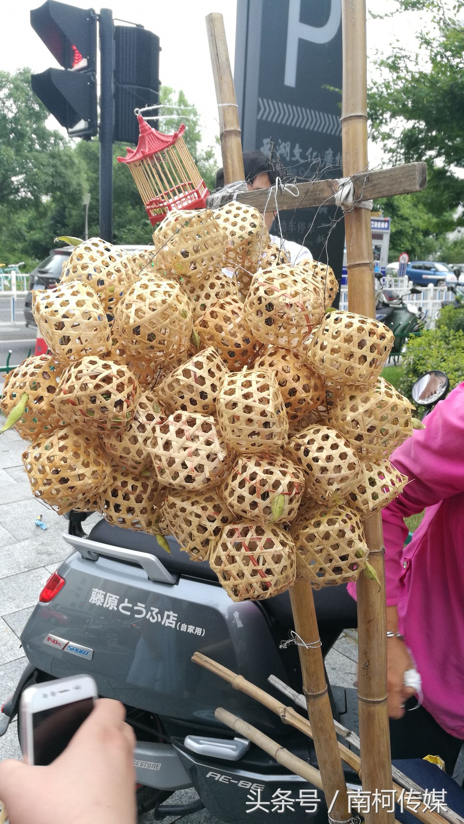 一辆自行车 一堆竹笼子 属于这个季节的时令小宠物叫蝈蝈 又可以登台献唱啦